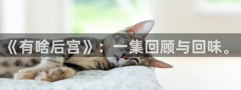 age动漫正版网