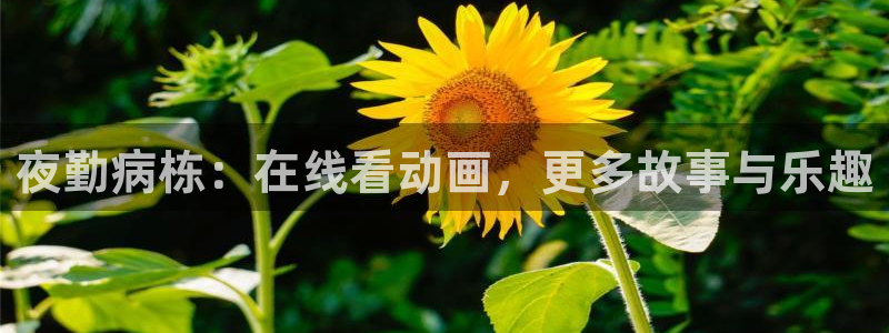 拷贝漫画 copymanager.ory网站