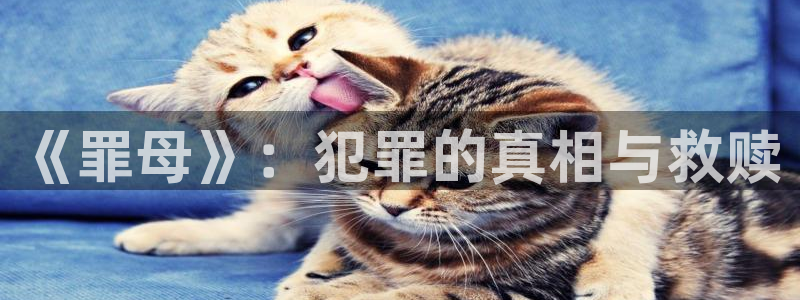 colamanage漫画下载