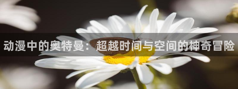 age动漫网