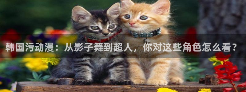 age动漫网下载