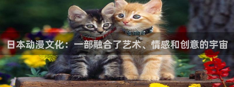 colomanage漫画官网