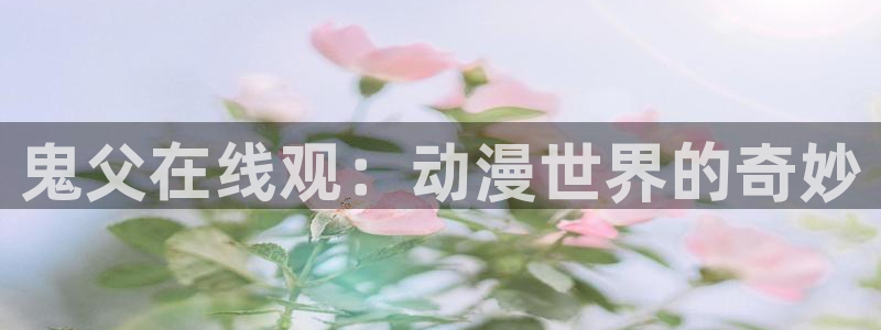 age动漫网