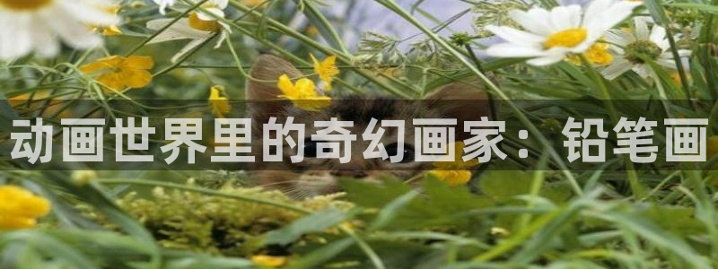 age动漫专注动漫的门户网站