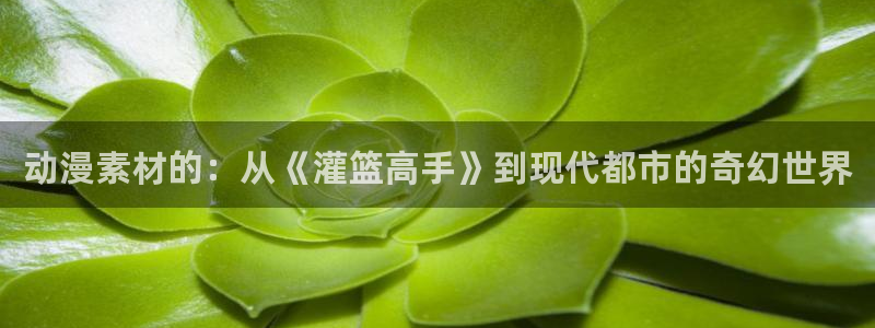 age动漫网下载