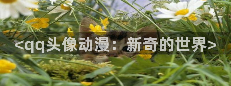 age动漫官网版入口