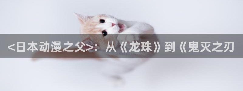 在线动画动漫下载age动漫