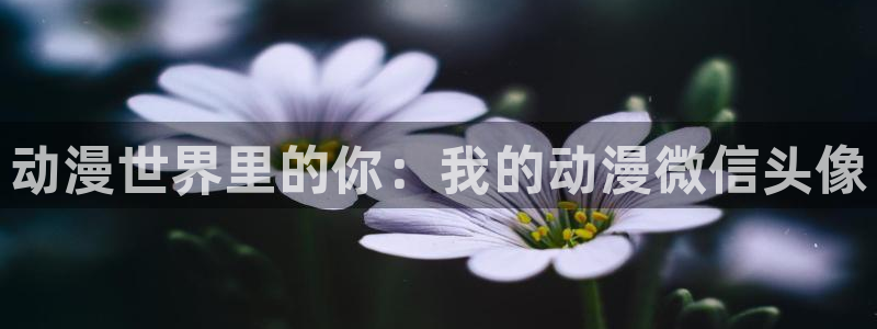 colamanage漫画下载
