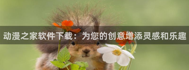 age动漫下载入口