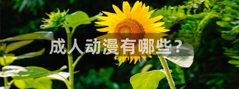 colomanage漫画官网