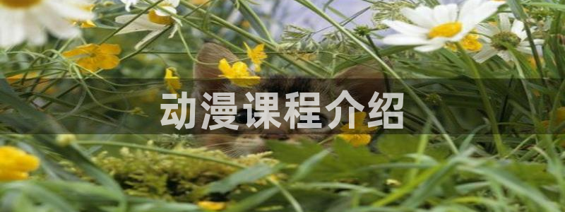 age动漫专注动漫的门户网站