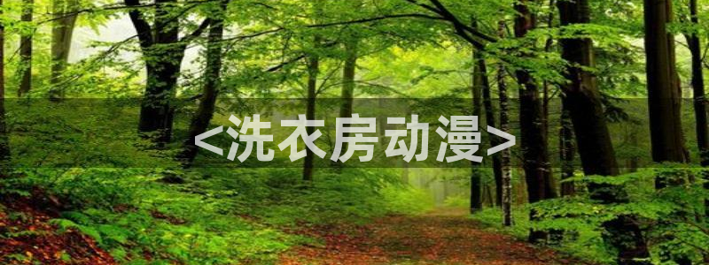 拷贝漫画 copymanager.ory网站
