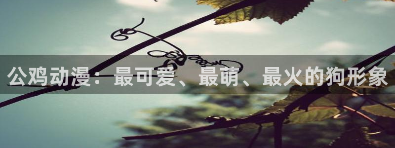 age动漫下载网