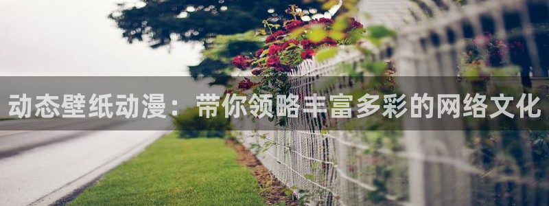 volcanicage漫画：动态壁纸动漫：带你领略丰富多彩的网络文化