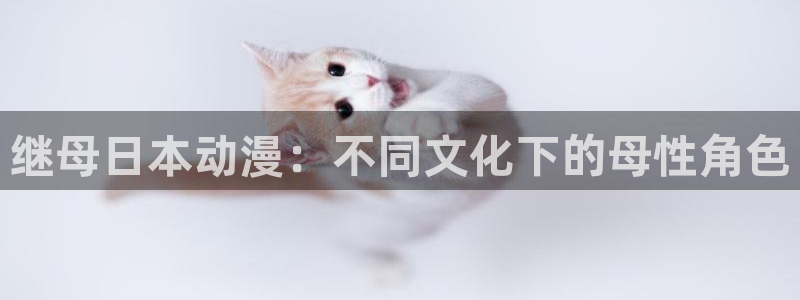 age动漫网