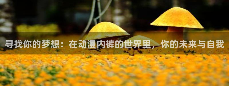 age动漫正版网：寻找你的梦想：在动漫内裤的世界里，你的未来与自我