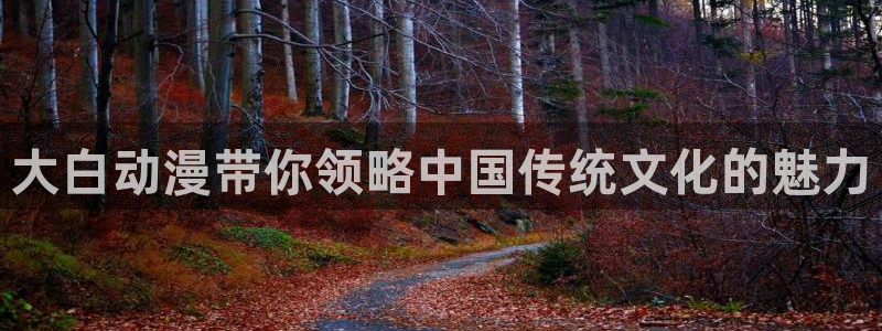 age动漫下载网：大白动漫带你领略中国传统文化的魅力