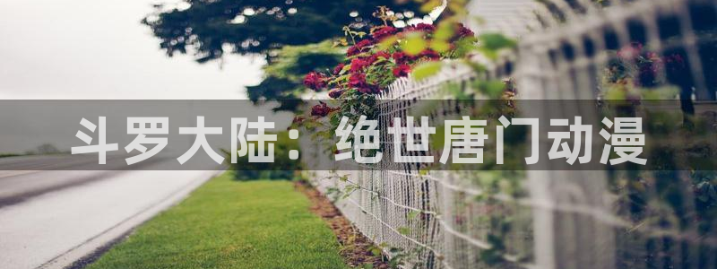age动漫omofun：斗罗大陆：绝世唐门动漫