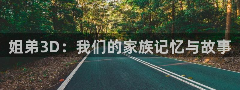 age动漫下载动漫全免费：姐弟3D：我们的家族记忆与故事