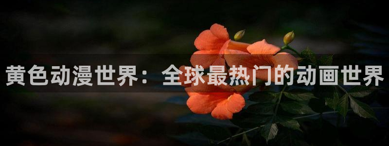 colamanage漫画官网：黄色动漫世界：全球最热门的动画世界