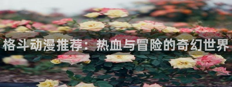 age动漫正版网：格斗动漫推荐：热血与冒险的奇幻世界