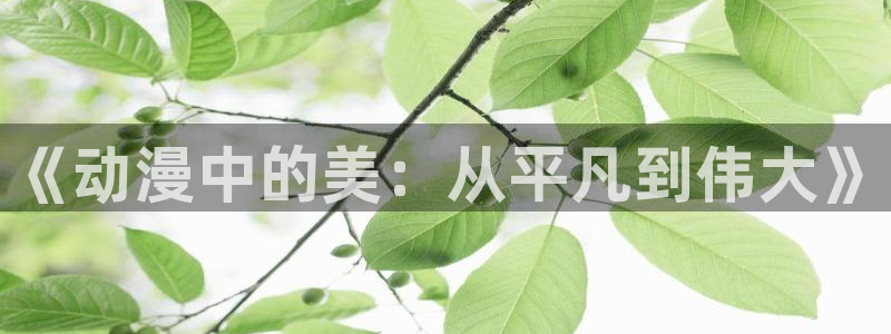 age动漫官网樱花动漫：《动漫中的美：从平凡到伟大》