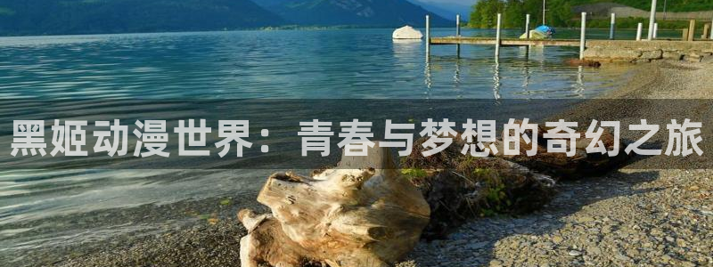 age动漫官网入口老版本：黑姬动漫世界：青春与梦想的奇幻之旅