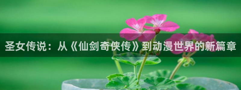 age动漫：圣女传说：从《仙剑奇侠传》到动漫世界的新篇章
