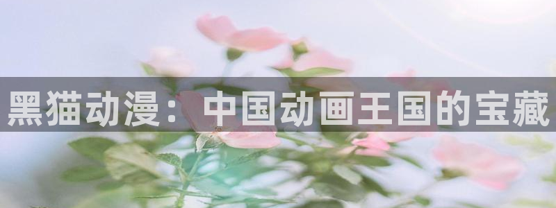 age动漫官网入口老版本：黑猫动漫：中国动画王国的宝藏