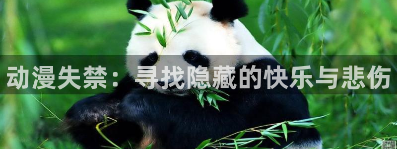 age动漫网：动漫失禁：寻找隐藏的快乐与悲伤