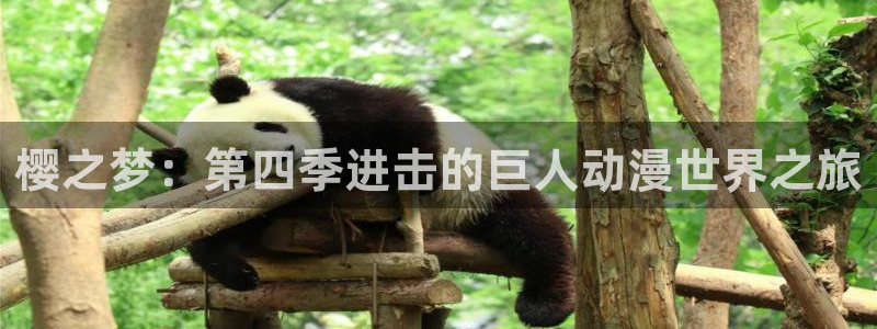 age专注动漫的门户网站：樱之梦：第四季进击的巨人动漫世界之旅