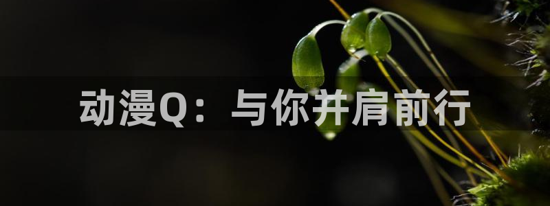 age动漫omofun：动漫Q：与你并肩前行