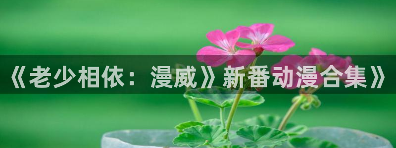 age动漫下载：《老少相依：漫威》新番动漫合集》
