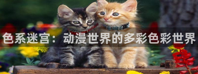 age樱花动漫：色系迷宫：动漫世界的多彩色彩世界