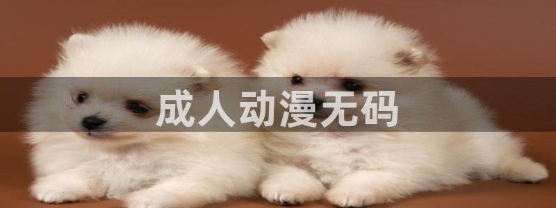 age动漫专注动漫的门户网站：成人动漫无码